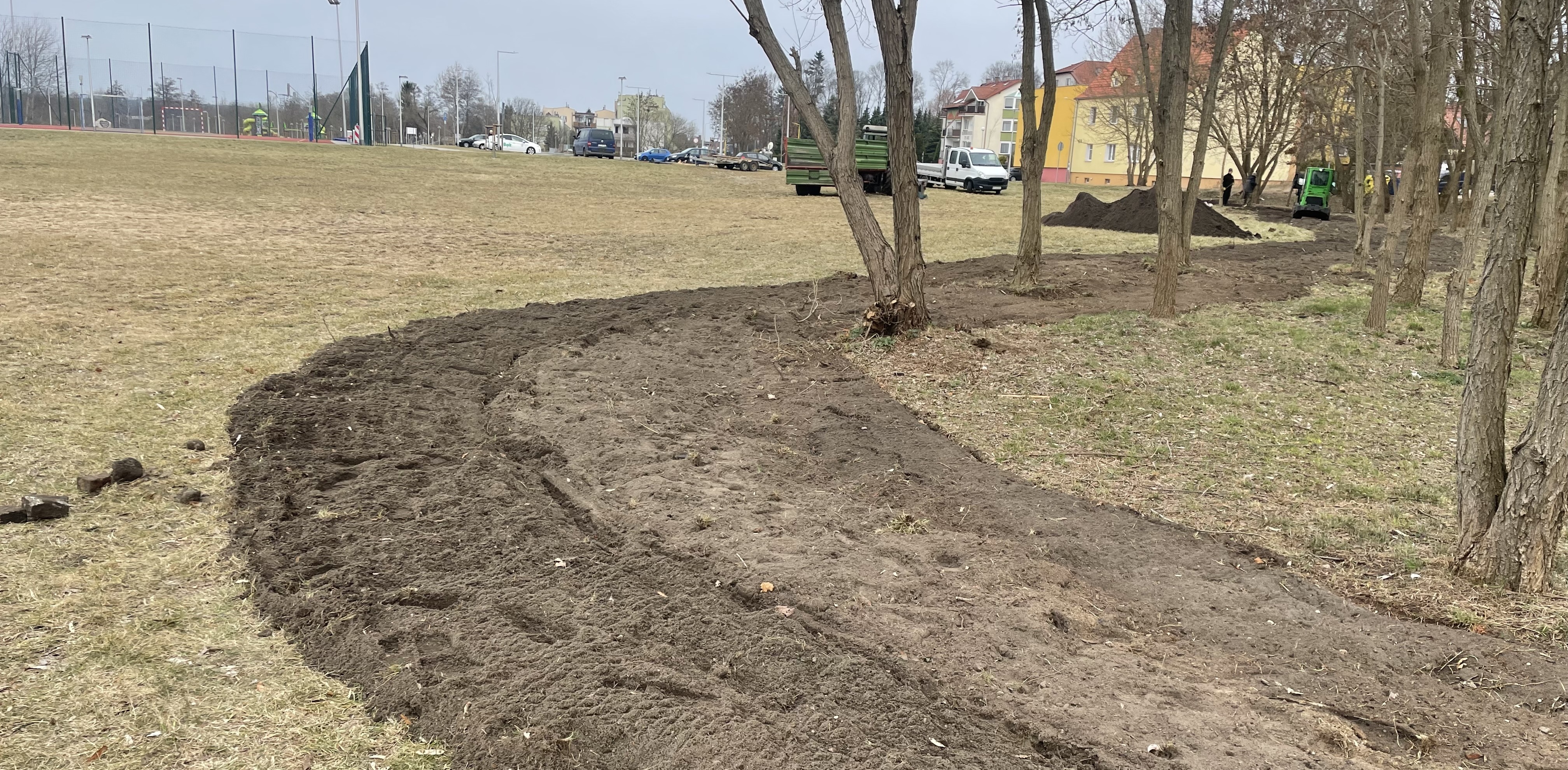 Nowa zieleń na Bulwarach Europejskich &ndash; Piła rozkwita na wiosnę